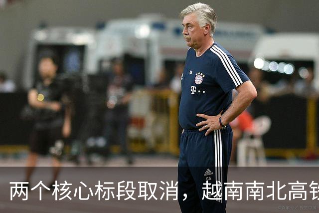 两个核心标段取消，越南南北高铁掀桌：空手套白狼没套着，恼了