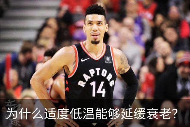 为什么适度低温能够延缓衰老？