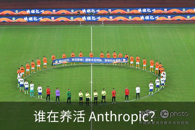 谁在养活 Anthropic？